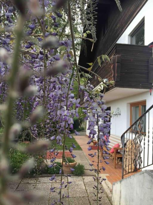 Charmantes Landhaus Mit Garten Und Traumhaftem Fernblick Thal  Exteriér fotografie