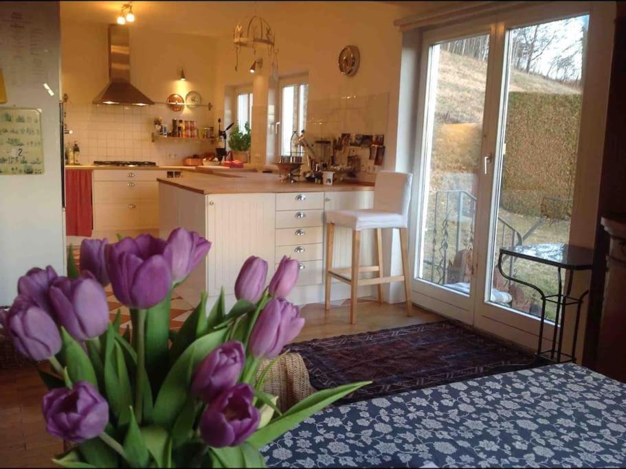 Charmantes Landhaus Mit Garten Und Traumhaftem Fernblick Thal  Exteriér fotografie