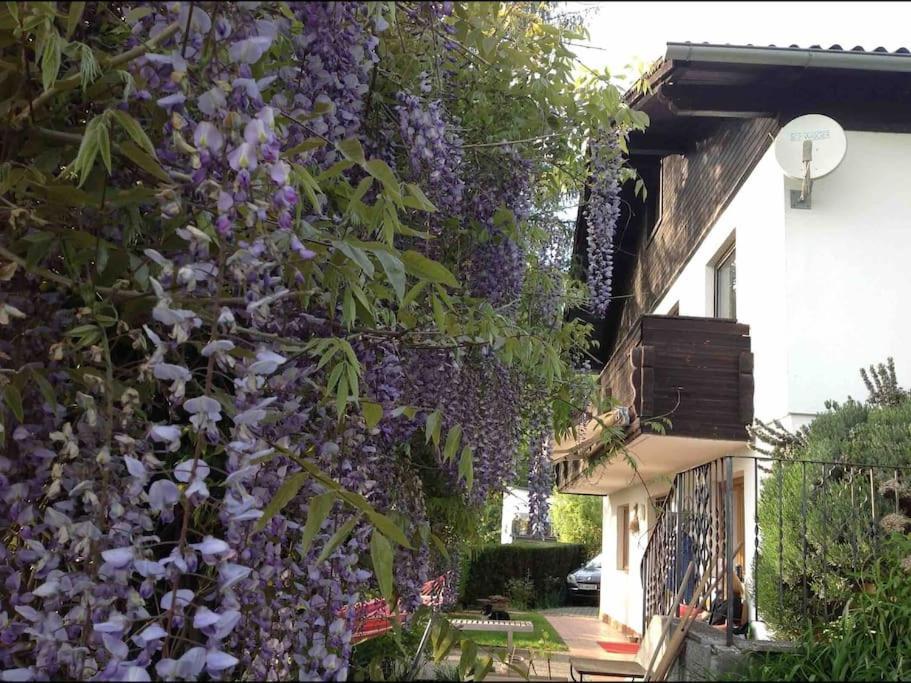 Charmantes Landhaus Mit Garten Und Traumhaftem Fernblick Thal  Exteriér fotografie