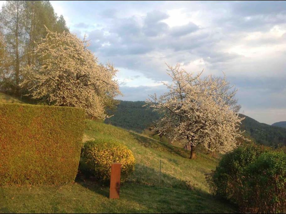 Charmantes Landhaus Mit Garten Und Traumhaftem Fernblick Thal  Exteriér fotografie
