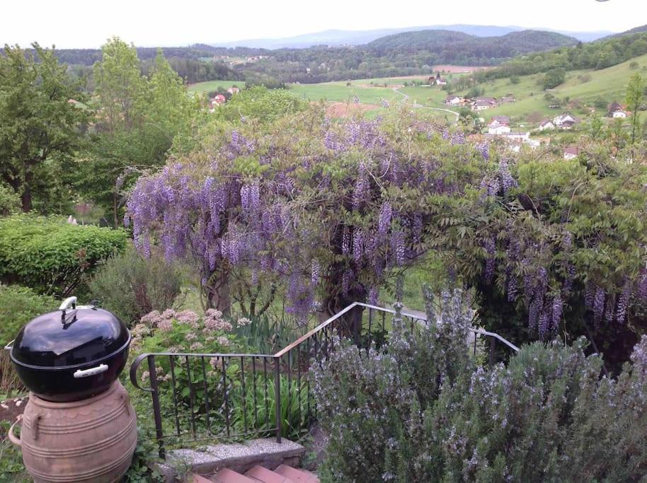 Charmantes Landhaus Mit Garten Und Traumhaftem Fernblick Thal  Exteriér fotografie