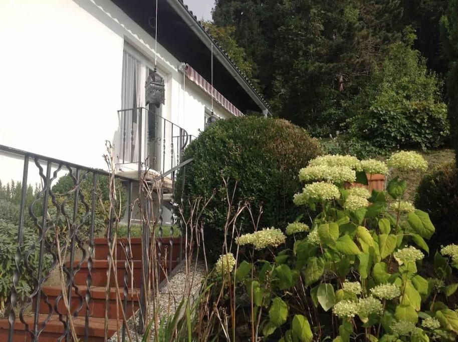 Charmantes Landhaus Mit Garten Und Traumhaftem Fernblick Thal  Exteriér fotografie